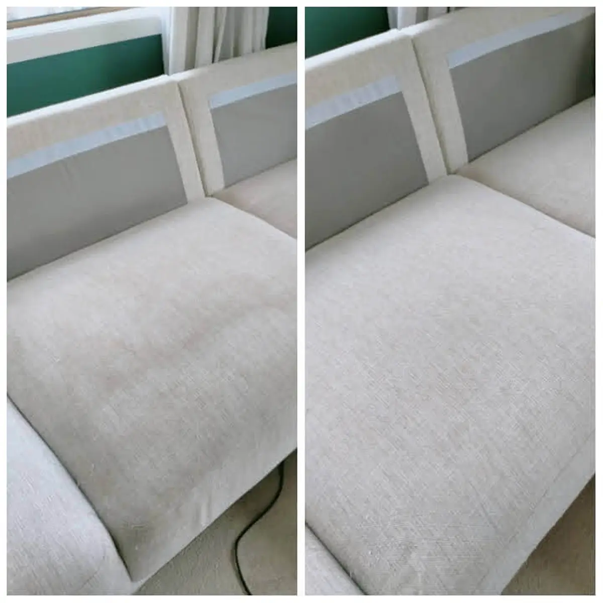 Couch Steam Cleaning Auckland